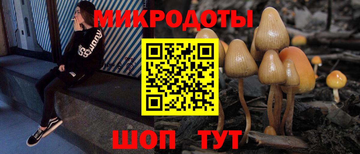 Псилоцибиновые грибы GOLDEN TEACHER Уссурийск